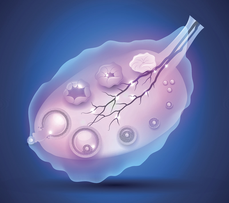 合肥助孕试管费用全攻略-三代试管婴儿预算及黄体酮使用须知!